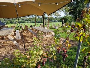 Zahrada ubytování Steef's vakantiehuis zuid limburg