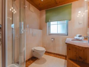 a bathroom with a shower and a toilet and a sink at Chalet Hochkrimml 2 by Interhome in Krimml