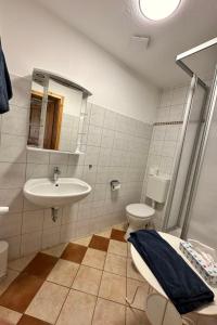 a bathroom with a sink and a toilet and a mirror at Apartment Dänholm by Interhome in Dargun +13 photos
