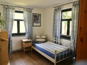 ein Schlafzimmer mit einem Bett und zwei Fenstern in der Unterkunft Apartment Gästehaus Alte Schule-4 by Interhome in Dargun