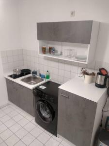 a kitchen with a sink and a washing machine at Appartement Zentrumsnah Hochwertig Leipzig in Leipzig
