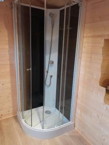 een douche met een glazen deur in een kamer bij L'Insolite de Nathcy in Thiel-sur-Acolin +54 foto's