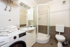 a bathroom with a toilet sink and a washing machine at Apartments Petak in Dramalj