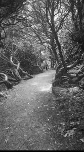 Billede fra billedgalleriet på Serenity Lodge i Donagh