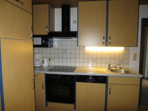 uma cozinha com um lavatório e uma máquina de lavar louça preta em Apartment Luftbichl - SLB130 by Interhome em Viehhofen