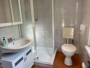 a bathroom with a shower and a toilet and a sink at Holiday Home Am Walde-1 by Interhome in Dobbertin +14 photos