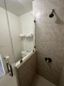 bagno con doccia e servizi igienici di Hotel Quinta San Carlos Inn a Manuel Valdez