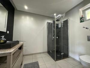 La salle de bains est pourvue d'une douche et de toilettes. dans l'établissement River Villa with amazing view + Jacuzzi, Garden, Forest access, à Vétraz-Monthoux