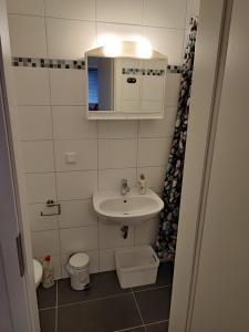 Baño pequeño con lavabo y espejo en Appartment zur Ruhe Forsterweg 6, en Hameln