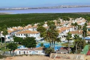 Vistas al mar de un complejo con piscina y palmeras en Bungalow en Los Balcones planta baja manzana 5 numero 18, en Alicante