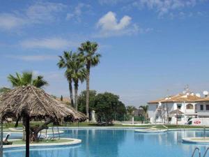 a swimming pool with a straw umbrella and palm trees at Bungalow en Los Balcones planta baja manzana 5 numero 18 in Alicante