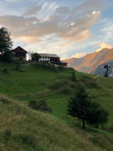 a green hill with houses on top of it at Appartements Max&Moritz in Kaunertal