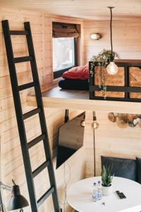a room with two bunk beds and a ladder at Idyllisches Tiny House mit Sauna in Löbau