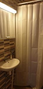 a bathroom with a sink and a shower curtain at City apartment Pieksämaki in Pieksamaki