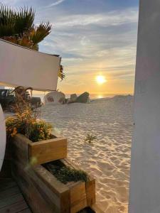 einen Sonnenuntergang am Strand mit Pflanzen im Sand in der Unterkunft Casa Carvalho in Quinta do Conde