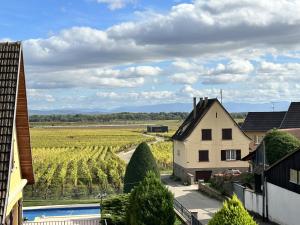 vista su un vigneto da una casa di * Nouveauté * Gîte Manala a Bennwihr