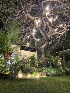 a tree with lights in a garden at night at Kai'ala Pousada in São Miguel do Gostoso