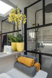 baño con estante con toallas y planta en chez pascal et olivier, en Saint-Chamas