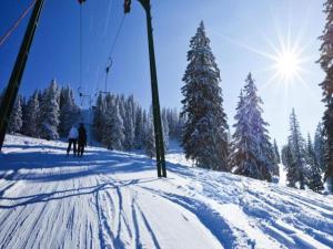 Résidence Le Domaine du Jardin Alpin - Courchevel 1850 v zimě