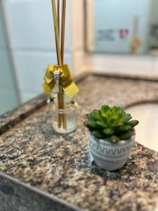 Eine Vase mit einem goldenen Band und eine Pflanze auf einem Tresen in der Unterkunft Flat Frente Mar em Cabo branco - Ambassador in João Pessoa
