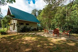 a house with a green roof and chairs in the yard at Drake Bay River View in Drake