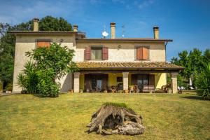 a house with a large tree stump in front of it at B&B dell'Aviatore in San Liberato