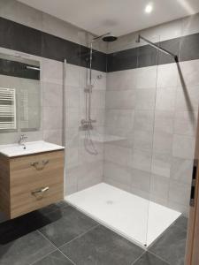 a bathroom with a shower and a sink at Gîtel'harmonie2 in Fraize