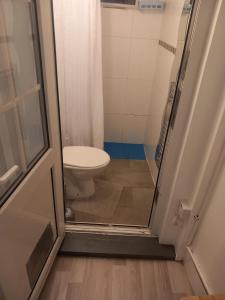 a small bathroom with a toilet and a shower at Dave’s Chill Zone in London