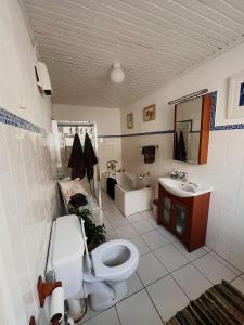 a bathroom with a toilet and a sink at Tranquilty in Ballyheigue