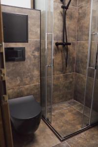 a bathroom with a shower with a toilet and a tv at IQ Apartments in Prešov +15 photos
