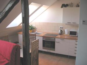 Kuchyň nebo kuchyňský kout v ubytování Apartmány Krkoškova
