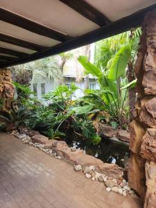 Κήπος έξω από το Serene on St James