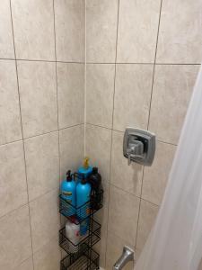 a shower stall with two water hydrants on a rack at Beautiful Lower level 2 bedroom aprt in Toronto