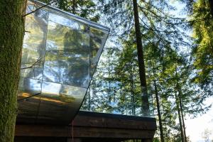 a glass house in the middle of a forest at Forest Lodges in Betws-y-coed