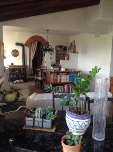 a living room with a couch and some plants at Bed & Breakfast Ca' di Vissai in Arnasco