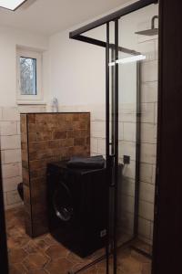 uma casa de banho com um chuveiro e uma porta de vidro em IQ Apartments em Presov