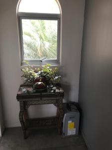 Fotografie z fotogalerie ubytování Apartamento Full v destinaci Concón