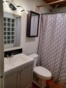 a bathroom with a sink and a toilet and a shower at Detroit Loft Fort Pontchartrain in Detroit