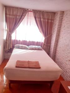 基多的住宿－Hostal El Auténtico Diamante，一间卧室设有一张大床和窗户
