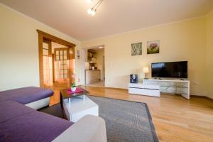 Una sala de estar con un sofá y un televisor de pantalla plana. en Apartments Spomenka Zvonko, en Lopar