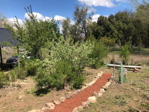 a garden with a row of bushes and trees at El Tranco - Casa "Bajada Poujardieu" in Junín de los Andes