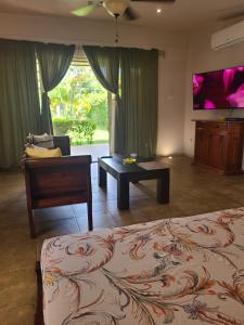 a bedroom with a bed and a couch and a tv at Guest House with Shared Pool Access in David
