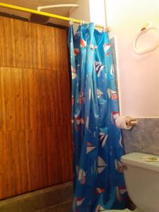 y baño con cortina de ducha y aseo. en Hostal El Auténtico Diamante, en Quito