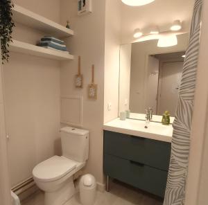 La salle de bains est pourvue de toilettes, d'un lavabo et d'un miroir. dans l'établissement Les Capitouls - avec entrée autonome, jardin & parking privé ! -, à Toulouse