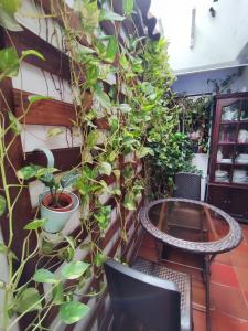 Zahrada ubytování Balcones de Venecia