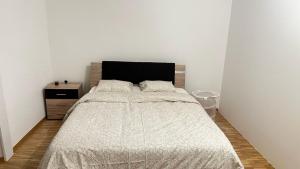 - une chambre avec un grand lit et une tête de lit noire dans l'établissement Quartier de Plainpalais, à Genève
