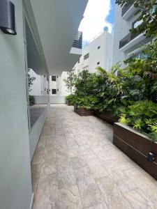 un couloir vide d'un bâtiment avec des plantes dans l'établissement Moderno apartamento en Naco, à Saint-Domingue