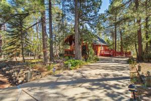 a path leading to a cabin in the woods at Peaceful Pinetop-Lakeside Cabin with 4 Decks! in Pinetop-Lakeside