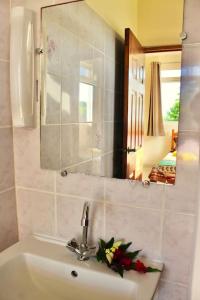 um lavatório de casa de banho com espelho e flores em Tekauhivai Lodge em Uturoa