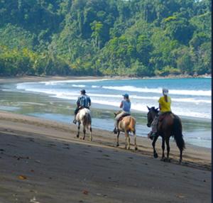 a group of people riding horses on the beach at Vista Alta Ecolodge Bahia Drake in Drake